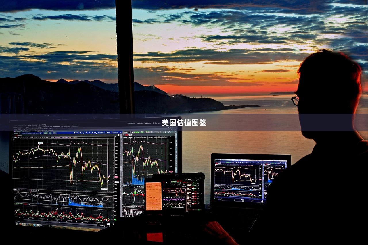 美国估值图鉴